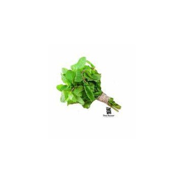 2881 fresh mint leaves LOGO 170x185