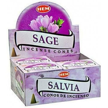 Hem Sage Salvia cones